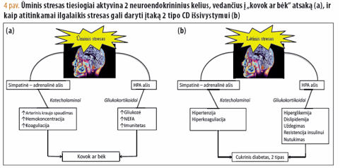 hipertenziją sukeliančios ligos